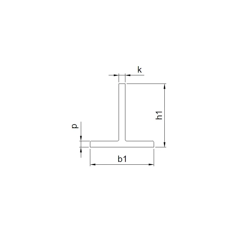 Prowadnica T50/A 50x50x5 mm 2,5 m