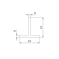 Prowadnica T50/A 50x50x5 mm 5 m